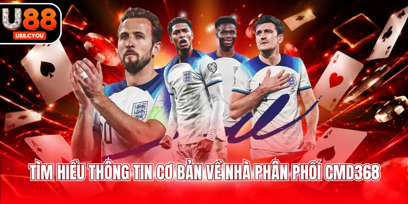 Tìm hiểu thông tin cơ bản về nhà phân phối CMD368